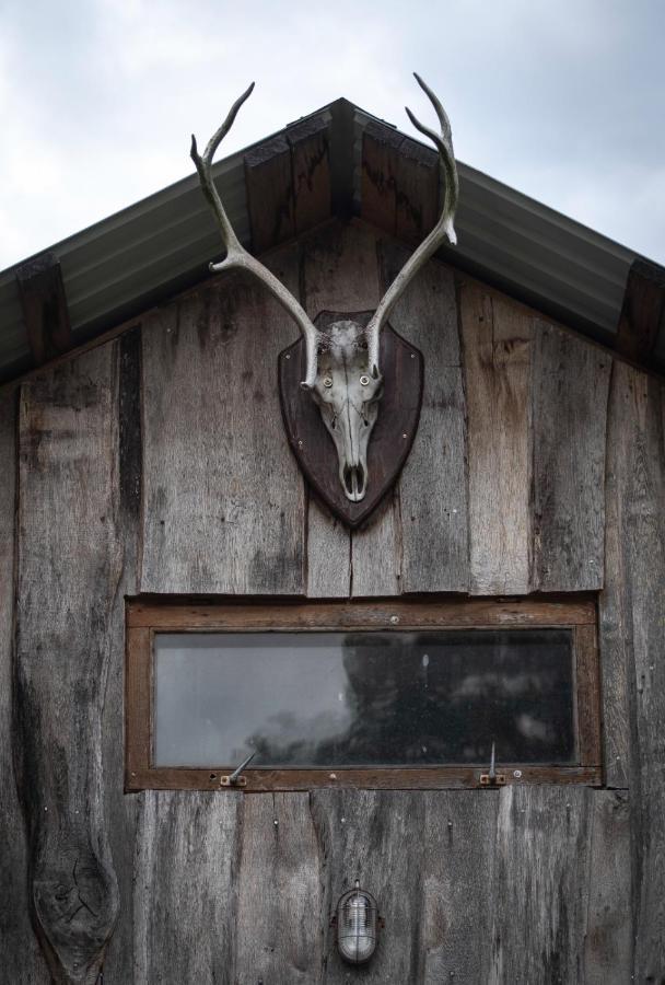 Glamping Fluffy Horns - Glempings Pukainie Ragi Hotel Plieņciems Eksteriør billede