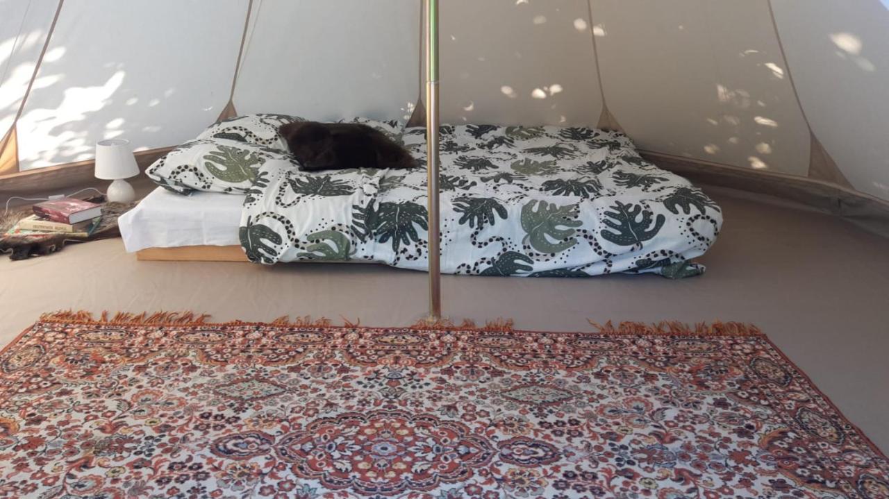 Glamping Fluffy Horns - Glempings Pukainie Ragi Hotel Plieņciems Eksteriør billede