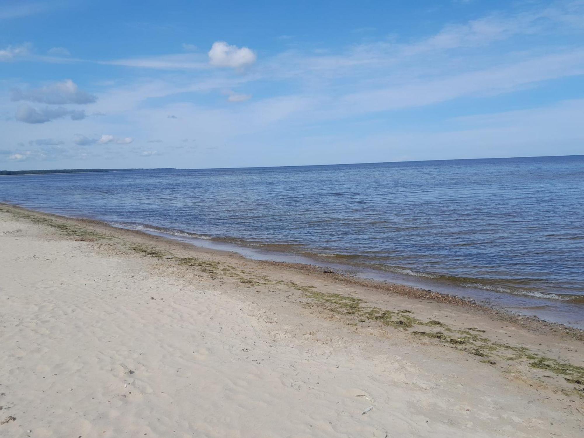 Glamping Fluffy Horns - Glempings Pukainie Ragi Hotel Plieņciems Eksteriør billede