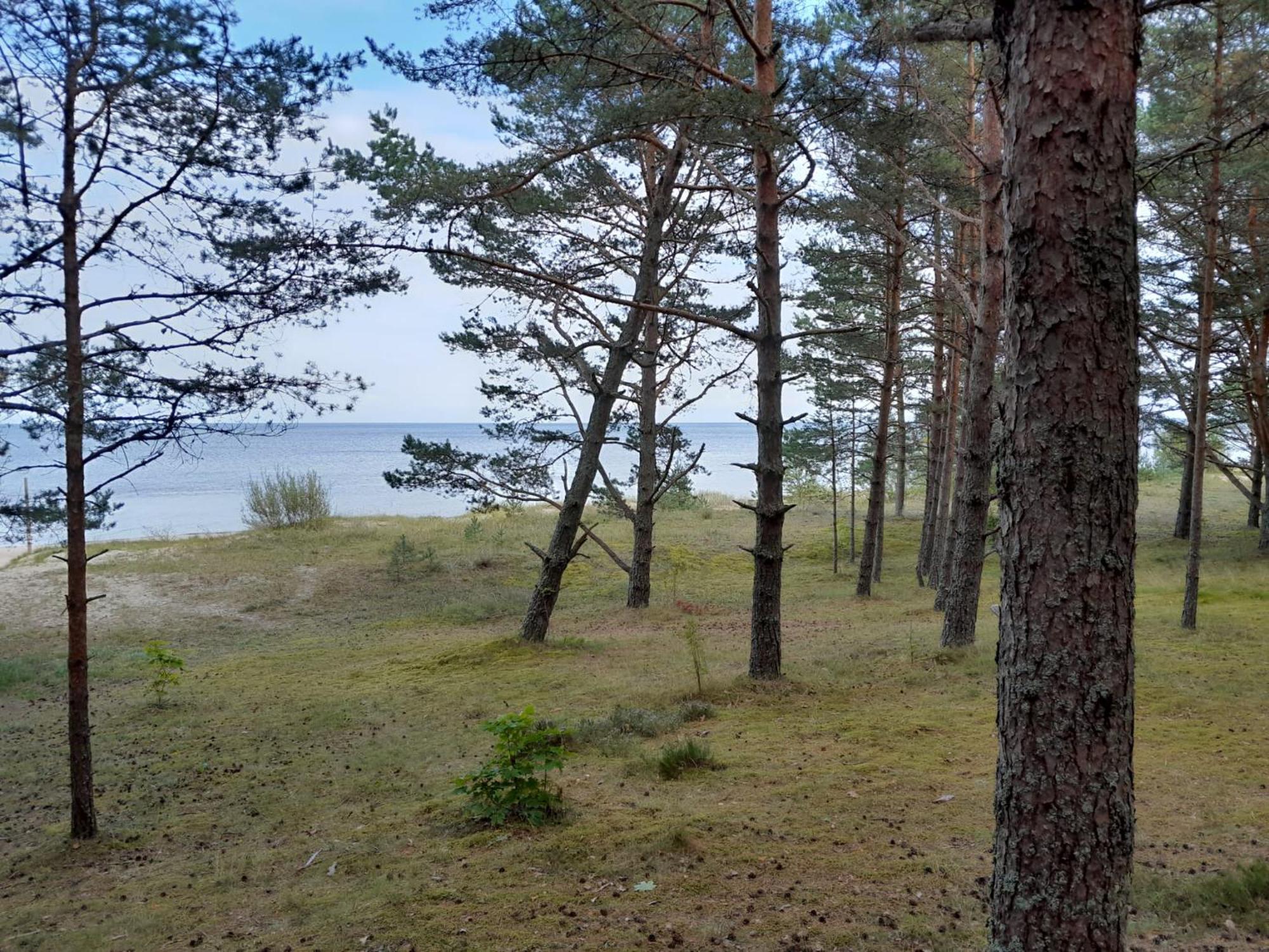 Glamping Fluffy Horns - Glempings Pukainie Ragi Hotel Plieņciems Eksteriør billede